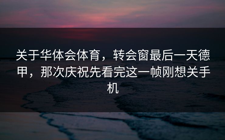关于华体会体育，转会窗最后一天德甲，那次庆祝先看完这一帧刚想关手机