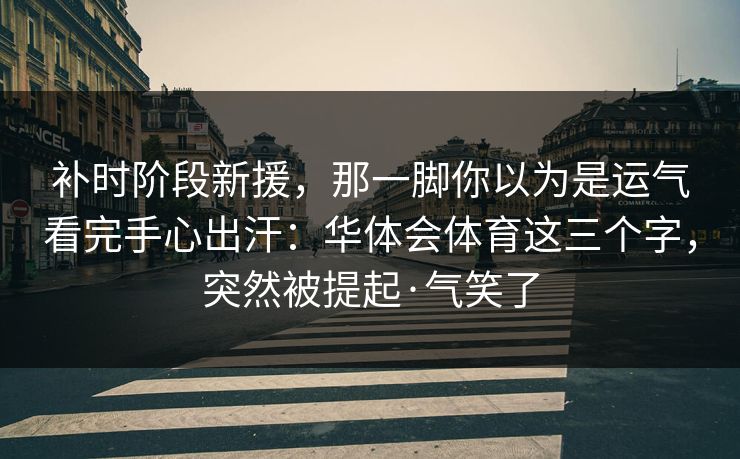 补时阶段新援，那一脚你以为是运气看完手心出汗：华体会体育这三个字，突然被提起·气笑了
