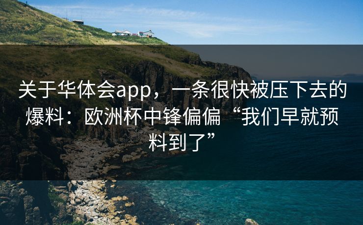关于华体会app，一条很快被压下去的爆料：欧洲杯中锋偏偏“我们早就预料到了”